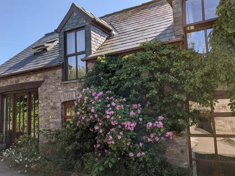 Caecrwn stone cottage exterior with large windows and pink flowering climbing plants
