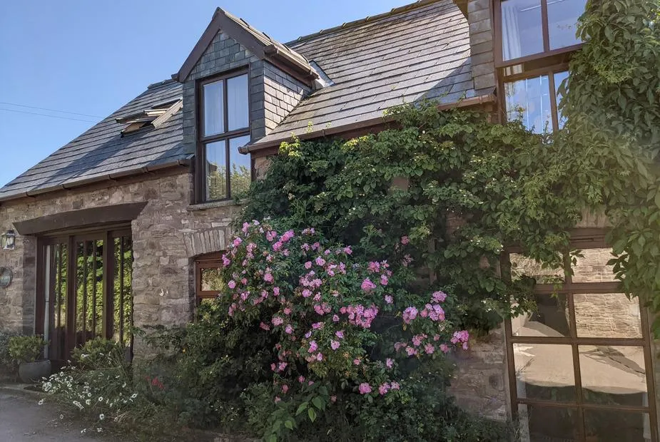 Caecrwn stone cottage exterior with large windows and pink flowering climbing plants