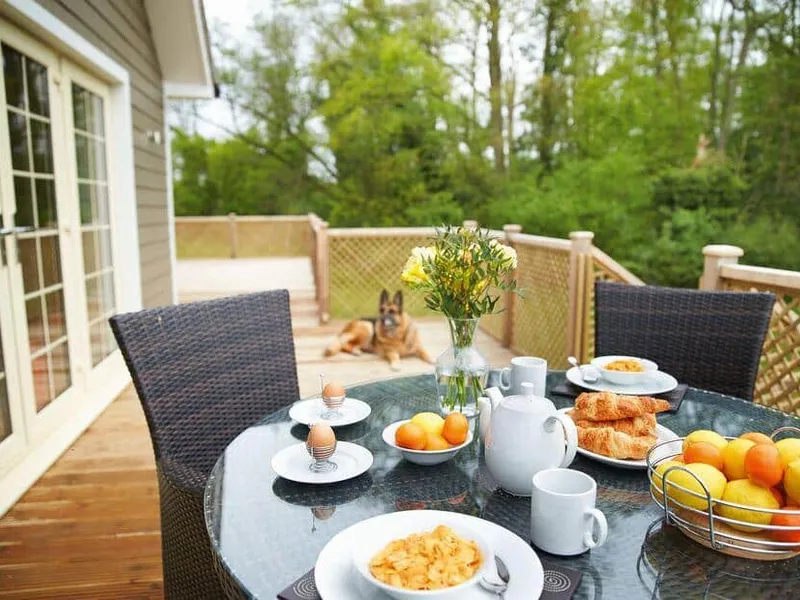 Breakfast set on Campion Lodge deck with a dog lying by the wooden fence and trees beyond