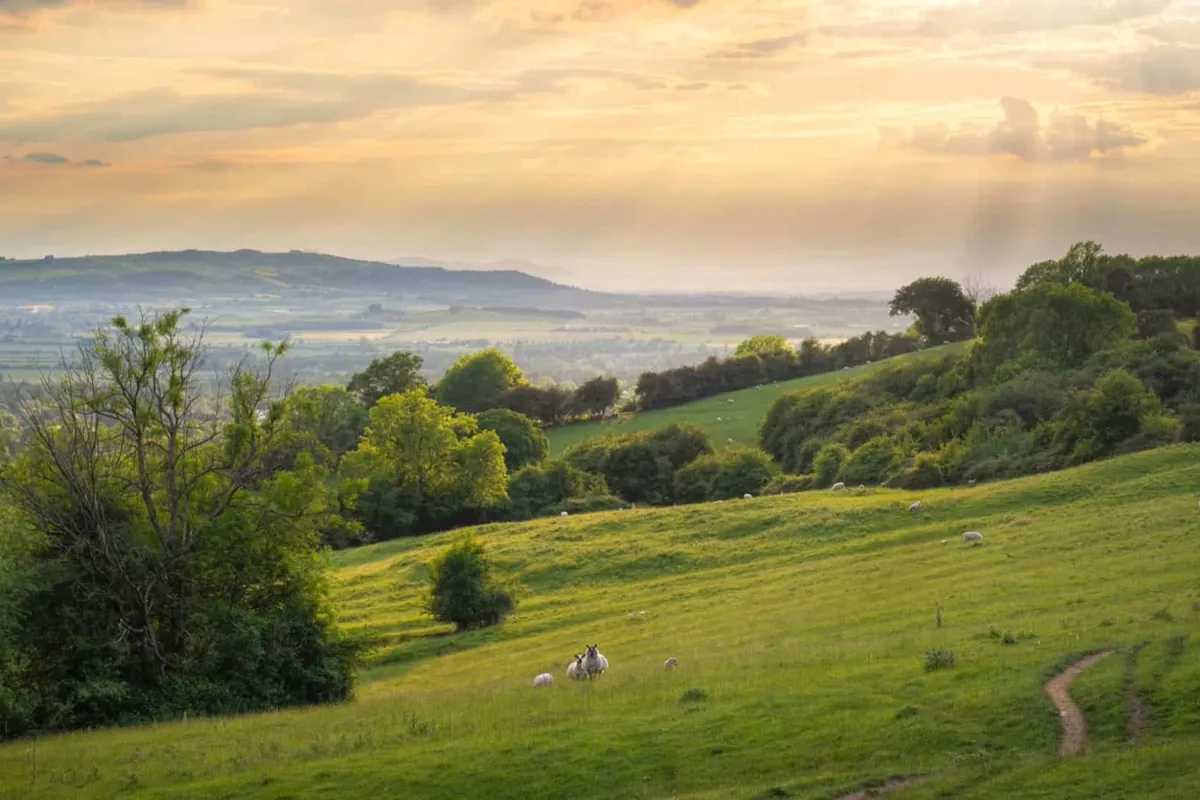 Sunbeams illuminating rolling green hills and sheep in the Heart of England countryside.