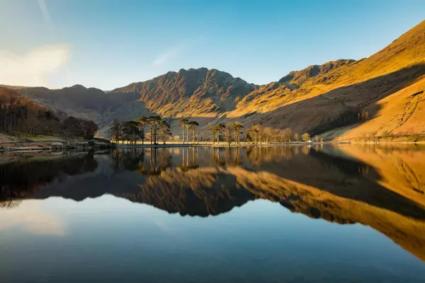 Golden hour sunlight hits the mountains and pine trees, creating a perfect reflection in the calm waters of Buttermere in the Lake District.