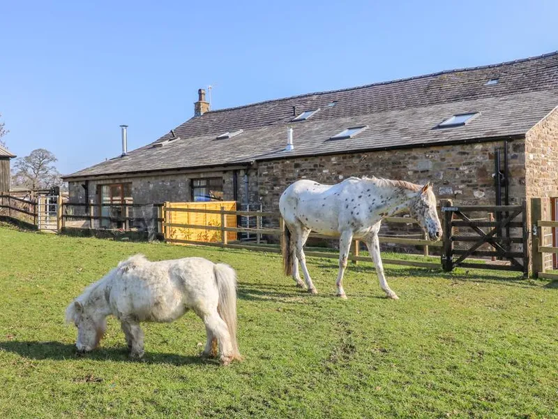 Stable View Cottage with two horses grazing in the fenced paddock